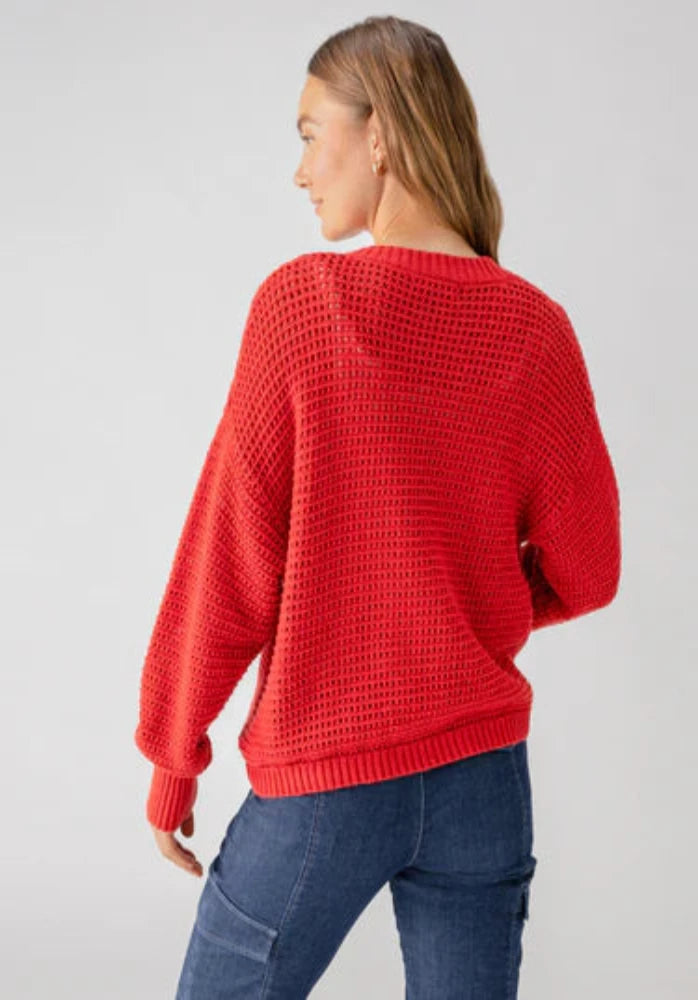 Sanctuary Falling for Fall Cardi