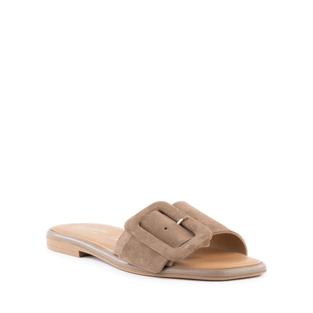 Seychelles Manhattan Suede