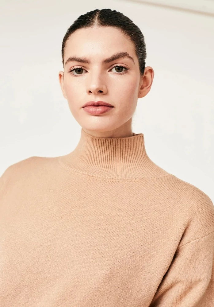 Dicomo Turtleneck Sweater