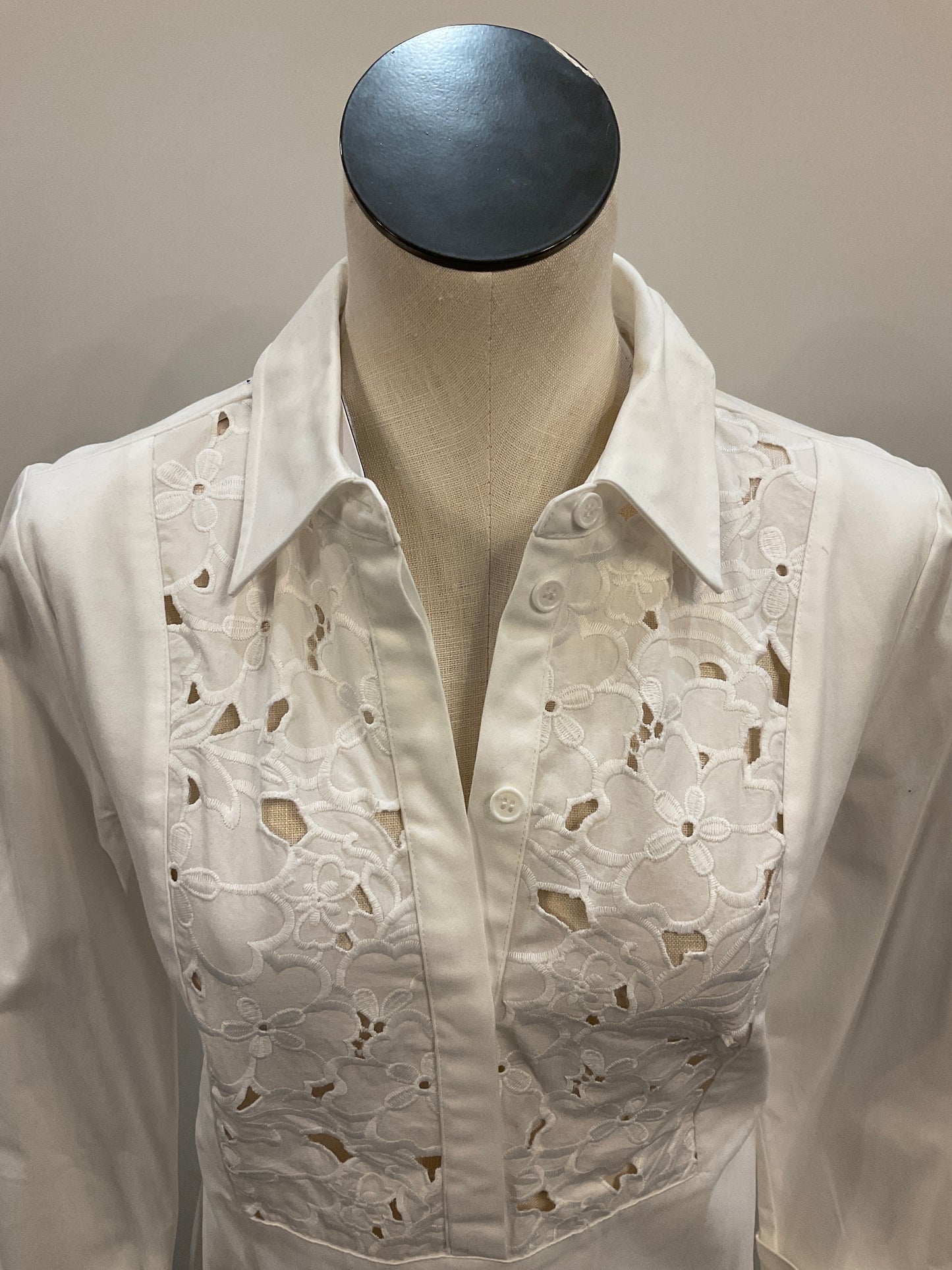 Lace Yoke Insert Dress