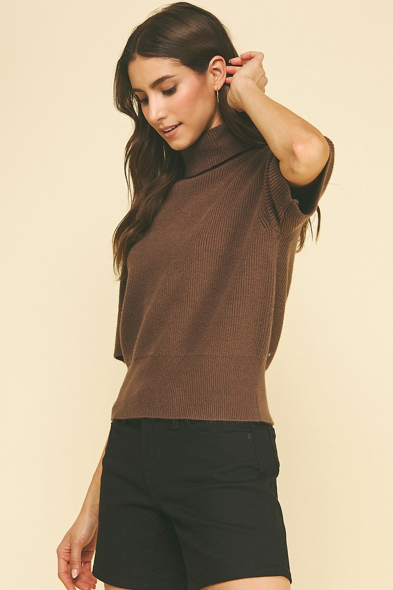 Bethany Brown Sweater
