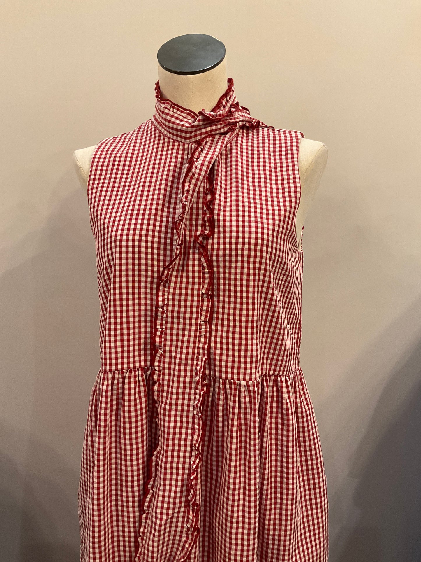 Red Picnic Dress