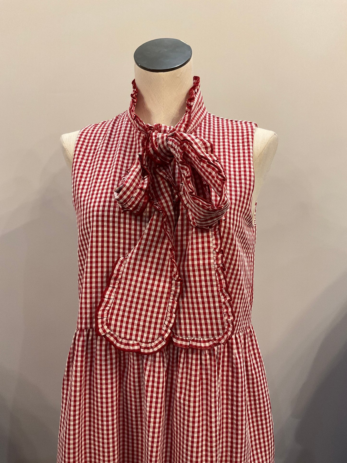 Red Picnic Dress