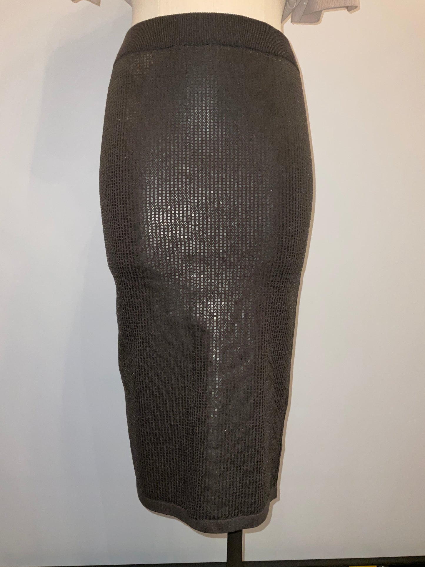 Sequin Skirt