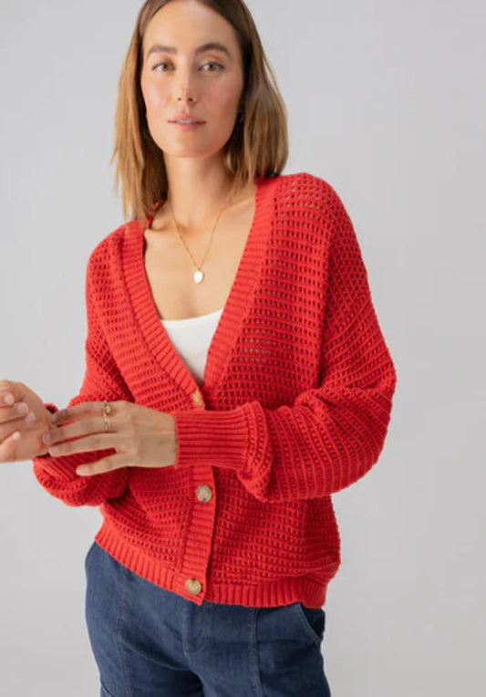 Sanctuary Falling for Fall Cardi