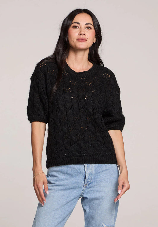 Saltwater Luxe Frank Sweater