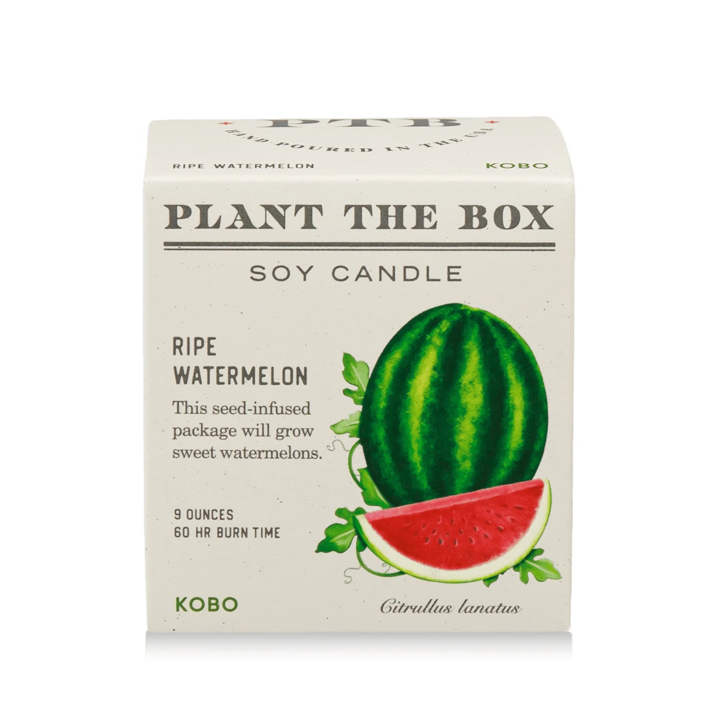 KOBO Watermelon Candle