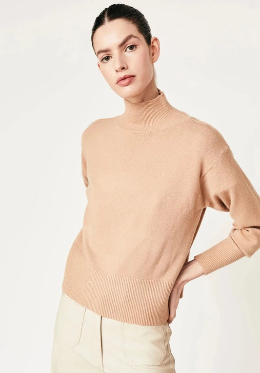 Dicomo Turtleneck Sweater